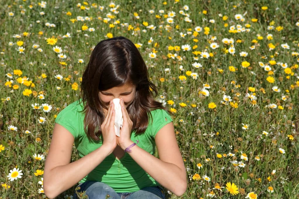 How Allergy Season Impacts the Eyes allergy season